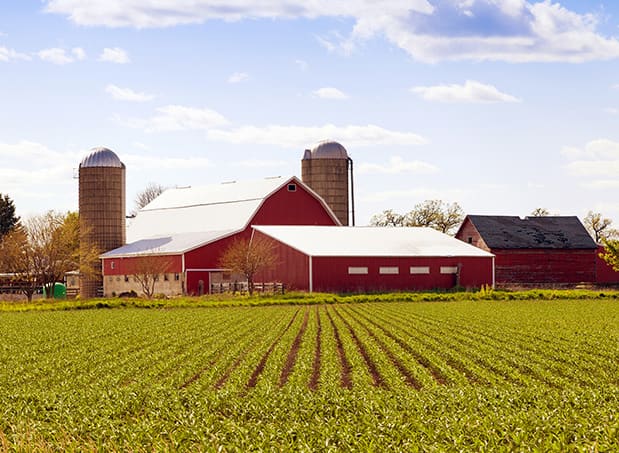 “agribusiness